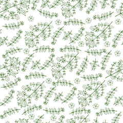 Hypericum, St. John's wort or Hartheu branch vector sketch hand drawn healing herb isolated on white, Tutsan herbs, Seamless floral vector pattern, Collection herb for package cosmetic, medicine, tea