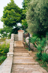 Stone stairs in Montenegro, in the Park Milocer, Sveti Stefan.