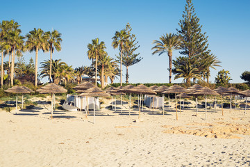 Decorative umbrellas made of palm branches on the background of the beach
