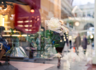 A shop window with reflection and a white rose