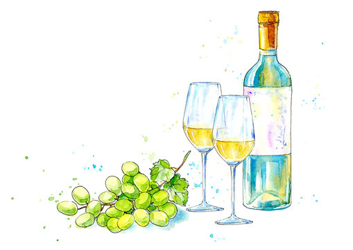 Bottle of white wine, glasses and grapes.Picture of a alcoholic drink.Watercolor hand drawn illustration.