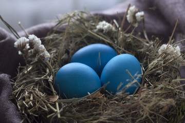 Fototapeta na wymiar Easter, painted eggs.