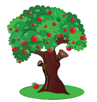 Summer fruit aplle tree illustration isolated in vector format