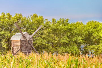 Wooden windmill in a corn field on a background of green trees. Summer rural landscape with limited depth of field. © nskyr2
