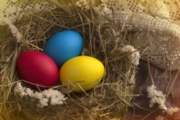 Fototapeta na wymiar Easter eggs in the nest.