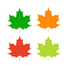Maple leaves, Canada symbol. Red, orange, yellow maple. Flat style.