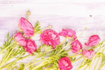 Obraz na płótnie Canvas The soft pink fresh flowers