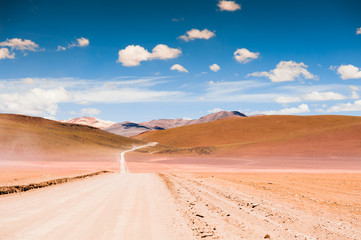 Fototapeta na wymiar Road in the Altiplano, Bolivia