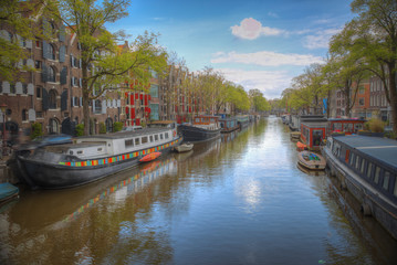 Obraz premium Amsterdam autumn.