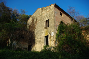 Fototapeta premium GENIUS LOCI#3