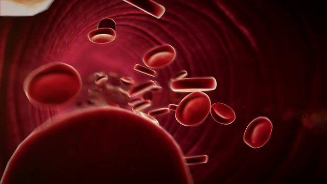 inside the vein, erythrocyte in the blood, inside the blood vessel, High quality 3d render of blood cells, Animation of Red Blood Cells Flowing Through Vein