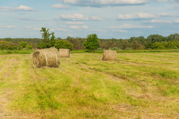 Rural landscape with hay bales
