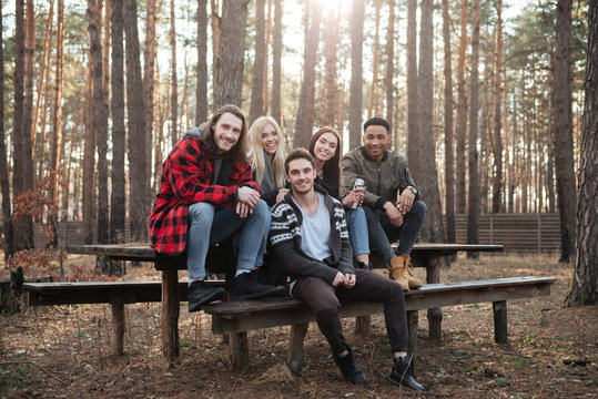 Happy group of friends sitting outdoors in the forest.