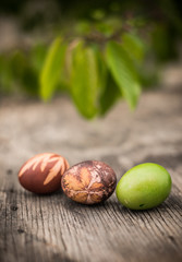 Obraz premium Easter eggs decorated with natural fresh leaves and boiled in onions peels