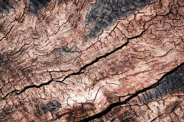 detail weathered wood with grooves
