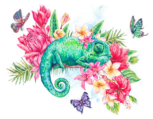 Watercolor green chameleon with butterflies, flowers - obrazy, fototapety, plakaty