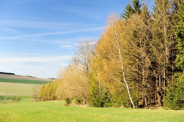 Fototapeta premium Beautiful spring landscape