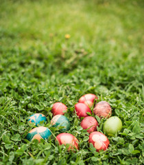 Colorful decorated eggs  in clover grass for Easter