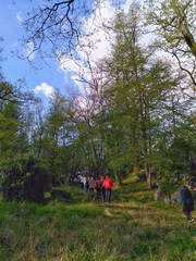 Escursionisti nel bosco
