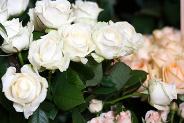 Street flower market. Different roses
