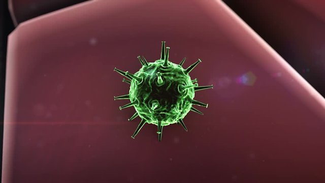 Coronavirus penetrates the cell, virus atack the cells, liver disease, virus attack the lungs, the process of infecting cells
