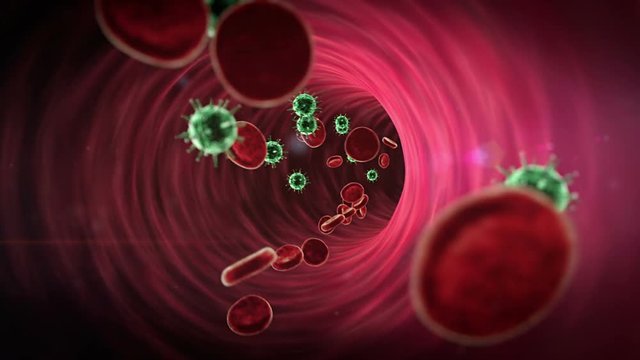 Coronavirus in the blood, inside the blood vessel, erythrocytes and viruses inside the blood vessel, High quality 3d render of blood cells, viruses in the human body