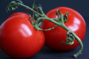 Czerwone, dojrzałe pomidory na gałązce