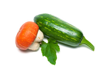 Zucchini and pumpkin isolated on white background
