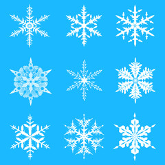 Fototapeta na wymiar Vector snowflakes set. Elegant snowflakes for Christmas and New Year design.