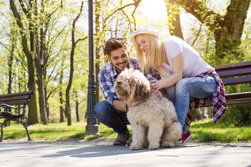 Young loving couple relaxing on the bench in park with a dog on beautiful sunny day