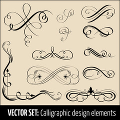 Vector set of calligraphic and page decoration design elements. Elegant elements for your design.