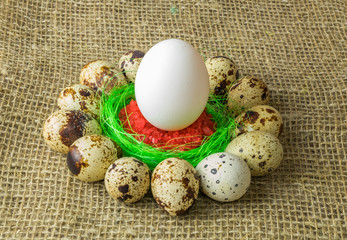 quail eggs and chicken egg with are in a circle around the plastic blue bowl of red salt on a wooden table