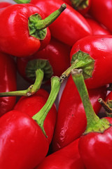 Chilin paprika pepper.