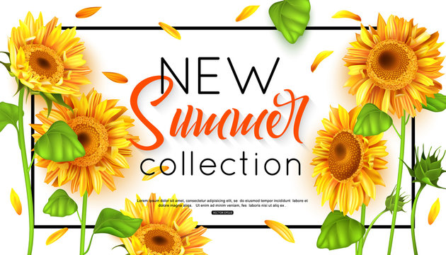 New summer collection with sunflower for banner. Vector illustration.