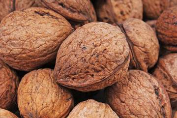 Walnut Walnuts