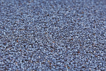 Poppy seeds.