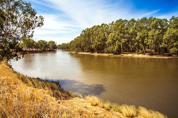 Am Murrumbidgee River bei Narrandera Noth South Wales Australien