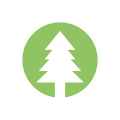 Obraz premium pine tree plant nature image vector illustration eps 10