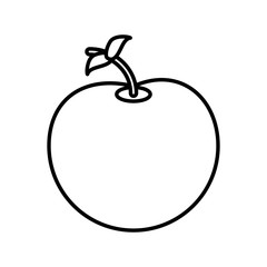 apple fruit healthy outline vector illustration eps 10