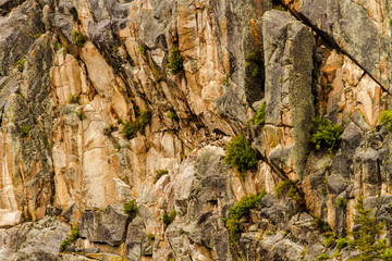 Golden Eagle Nest and Cliff in Yellowstone National Park