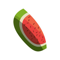 watermelon fruit fresh shadow vector illustration eps 10
