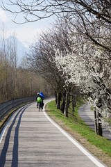 Fototapeta premium Endlich Frühling: Radtour in Südtirol