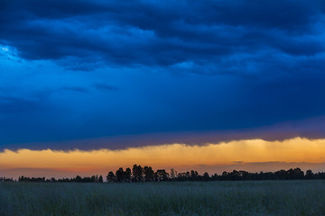 Pampas landscape, Argentina