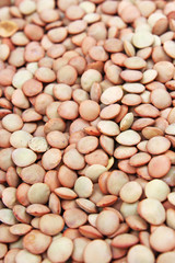 Eating lentil grains lentils as background