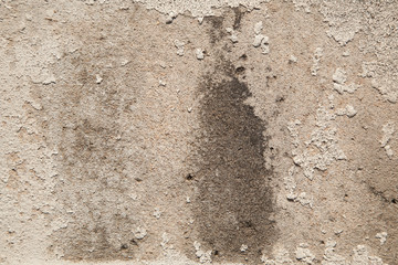Vintage or grungy white background of natural cement or stone old texture as a retro pattern wall. It is a concept, conceptual or metaphor wall banner, grunge, material, aged, rust or construction.