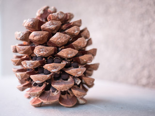 Pine