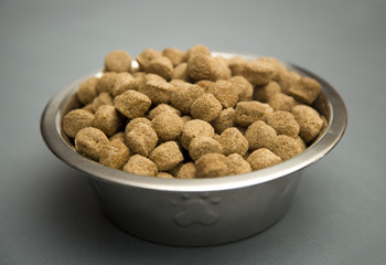 Dry Dog Food in a Silver Bowl