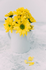 Yellow summer flowers 