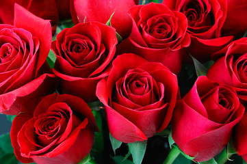 close up on bouquet of red roses for celebration