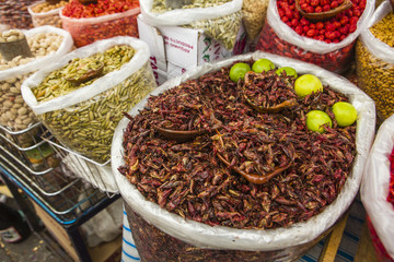 Fried Grasshoppers for Sale in Market, Mexico
